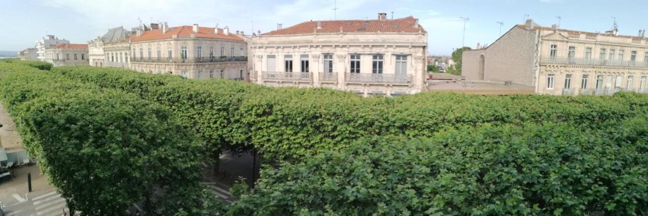 Studio Le Voltaire Sublime & Cosy Proche Gare De Sète Exteriér fotografie